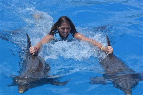 Aventure de nage avec les dauphins depuis Punta Cana